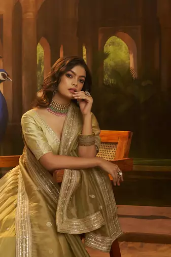 olive organza embroidered lehenga choli with dupatta