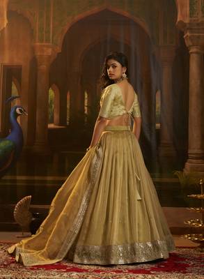olive organza embroidered lehenga choli with dupatta 4