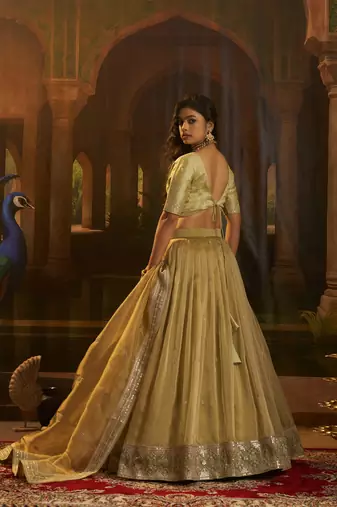 olive organza embroidered lehenga choli with dupatta