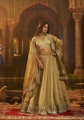 olive organza embroidered lehenga choli with dupatta 5
