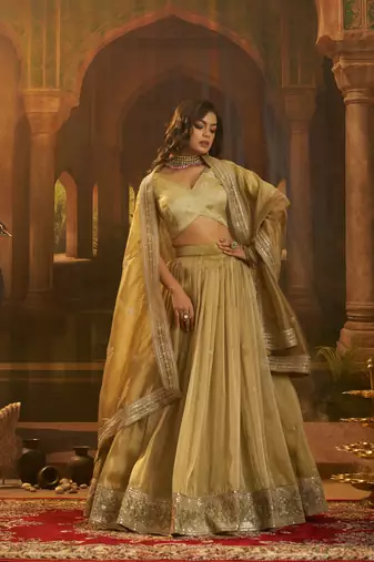 olive organza embroidered lehenga choli with dupatta