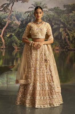 cream net embroidered lehenga choli with dupatta 1