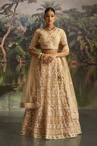 cream net embroidered lehenga choli with dupatta
