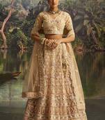 cream net embroidered lehenga choli with dupatta