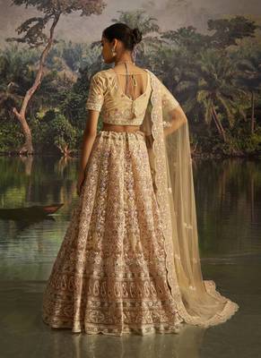 cream net embroidered lehenga choli with dupatta 4