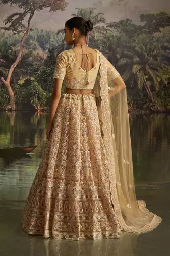 cream net embroidered lehenga choli with dupatta