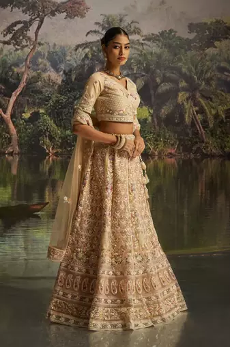 cream net embroidered lehenga choli with dupatta