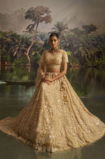 cream net embroidered lehenga choli with dupatta
