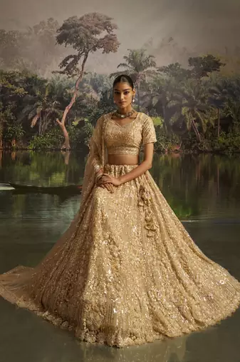 cream net embroidered lehenga choli with dupatta