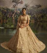 cream net embroidered lehenga choli with dupatta