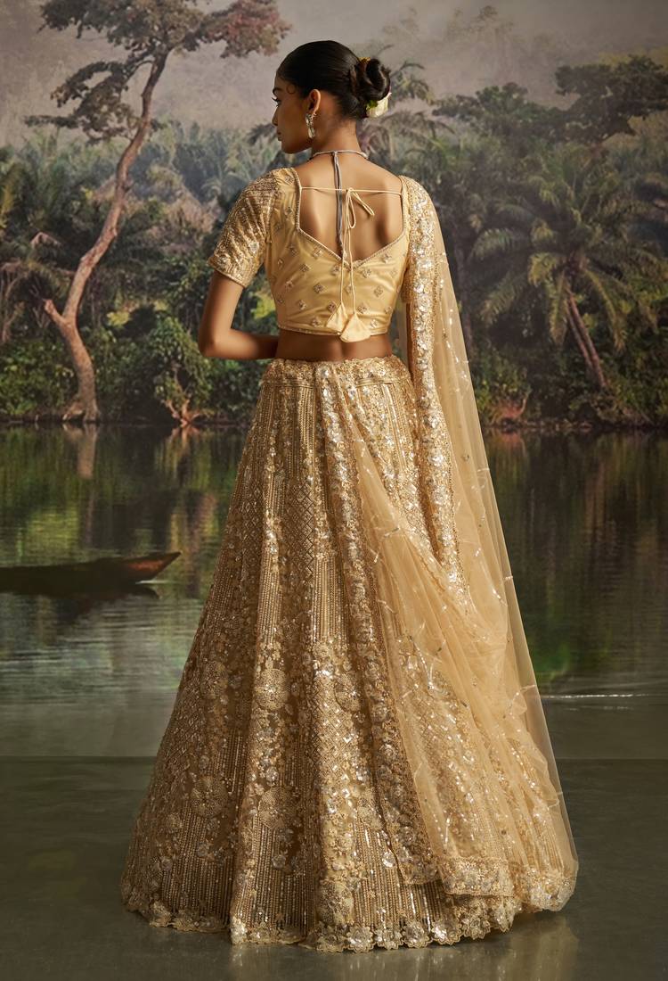 cream net embroidered lehenga choli with dupatta
