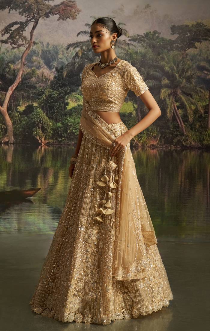 cream net embroidered lehenga choli with dupatta