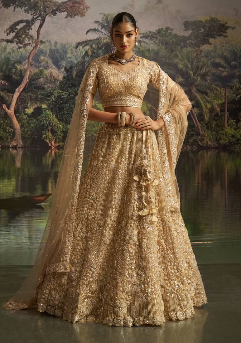 cream net embroidered lehenga choli with dupatta