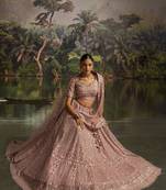 mauve net embroidered lehenga choli with dupatta