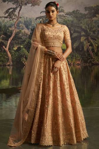 peach net embroidered lehenga choli with dupatta