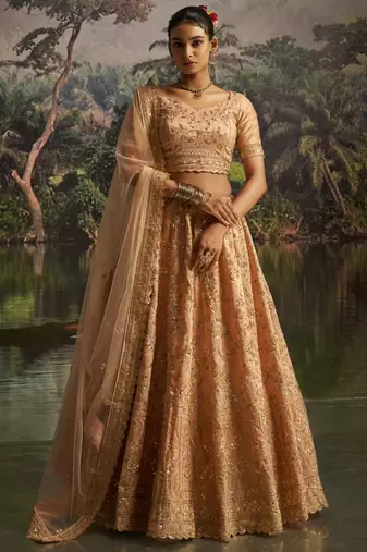 peach net embroidered lehenga choli with dupatta