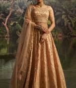 peach net embroidered lehenga choli with dupatta