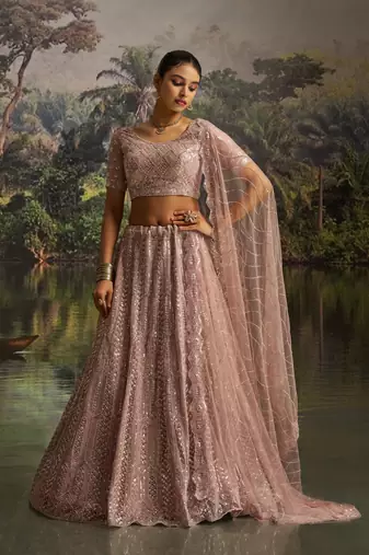 mauve net embroidered lehenga choli with dupatta