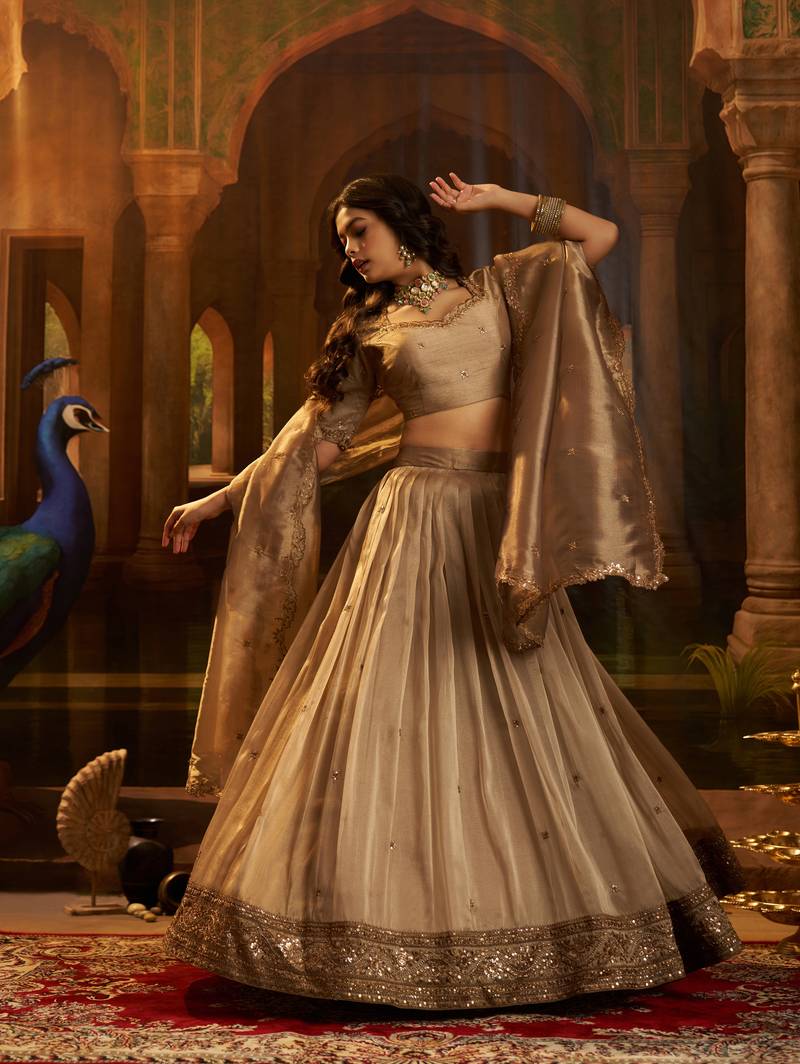 brown organza embroidered lehenga choli with dupatta