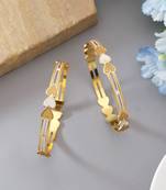 Gold color 1 pair of fashion bangle size: 2.4 (plkb139gld-2.4)