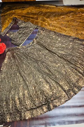 bronze Embroidered Organza Lehenga choli With Dupatta