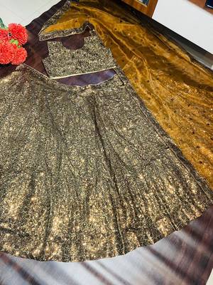 bronze Embroidered Organza Lehenga choli With Dupatta 4