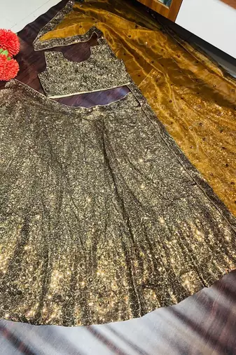 bronze Embroidered Organza Lehenga choli With Dupatta