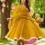 Mustard Embroidered Organza Anarkali Suit Set