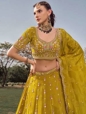 green beads work tissue lehenga set choli with dupatta 2