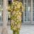 Women green viscose floral embroidered straight kurta trousers with dupatta