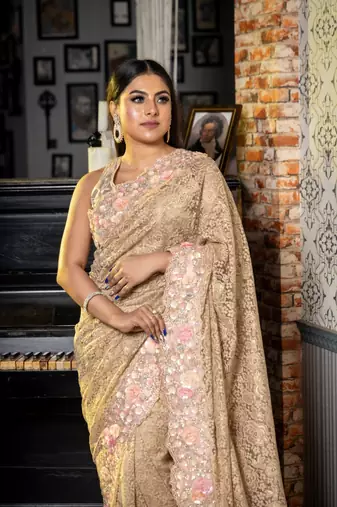 brown woven lace fabric zari work all seasons sarees