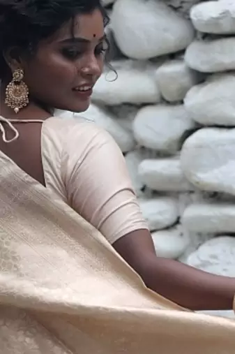 brown woven katan silk blend zari woven all seasons sarees