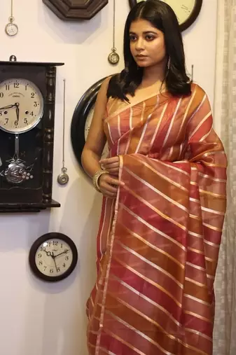 multicolor hand woven silk blend zari woven all seasons sarees
