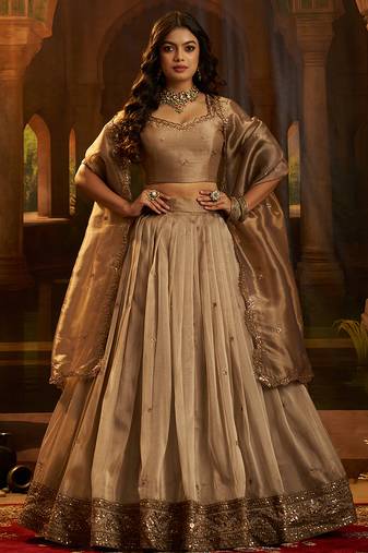 brown embroidered organza lehenga set with choli and dupatta