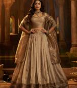 brown embroidered organza lehenga set with choli and dupatta