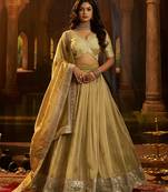 olive green organza embroidered lehenga set with choli and dupatta