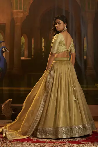 olive green organza embroidered lehenga set with choli and dupatta