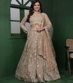 Light Beige Heavy Embroidered Net Lehenga Set