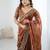 Brown new festive wear fendy chiffon saree with sequins embroidery work