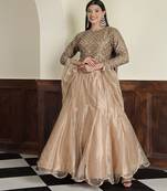 Champagne Tissue Antique  Lehenga Set
