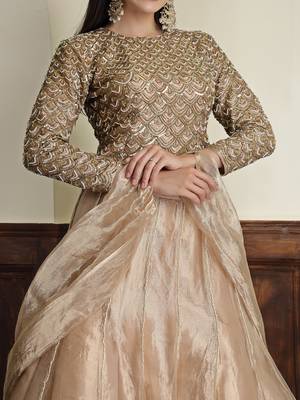 tissue antique  lehenga set with blouse and dupatta 4