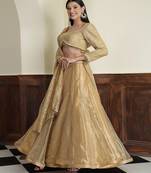 Gold Tissue Sequins Cutdana  Lehenga Set