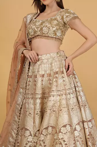 brown sequin cutdana bead organza lehenga set with blouse and dupatta