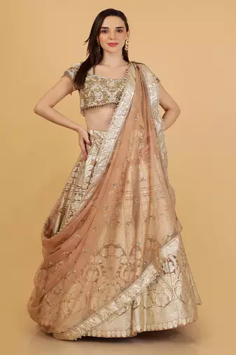 brown sequin cutdana bead organza lehenga set with blouse and dupatta