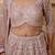 Dull Pink Net Lehenga Set With Monotone Embroidery