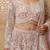 Dull Pink Net Heavy Sequins Beadwork Lehenga Set