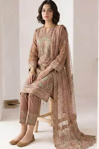 Light brown georgette embroidered salwar suit