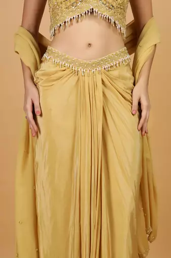 beige sequins crepe fish cut lehenga set