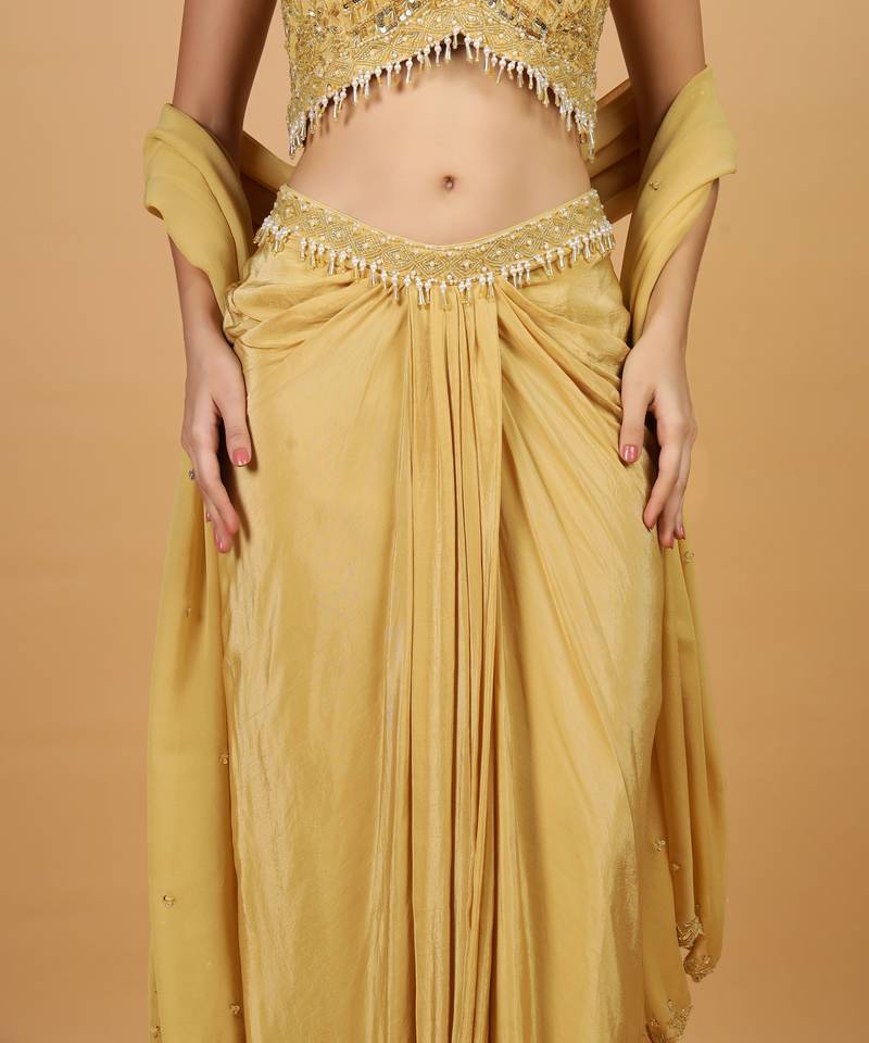 Beige Sequins Crepe Fish Cut Lehenga Set