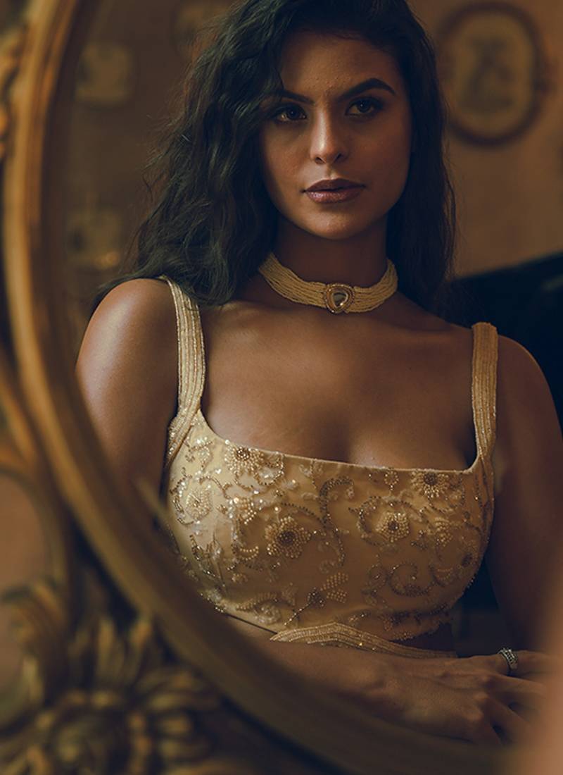 gold embroidered net lehenga set